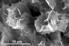 Smectite (dioctahedral)