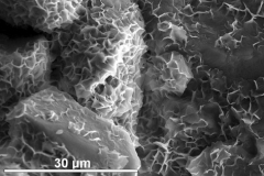 Smectite (dioctahedral)