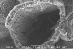 Smectite (trioctahedral)